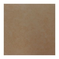G447315 Chrysant Brown 40x40 Gol A G447315 Chrysant Brown 40x40 Gol A